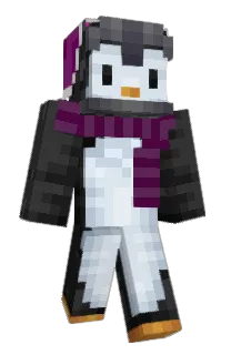 Front of Marcizinho's skin
