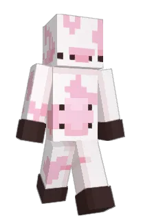 Front of IENNY's skin