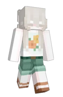 Front of miiuii's skin