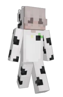 Front of ffyl's skin