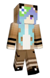 Skin preview