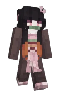 Front of Cinbony's skin