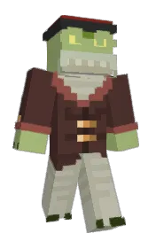 Skin preview