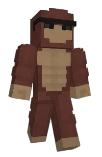 Front of Minecraft skin