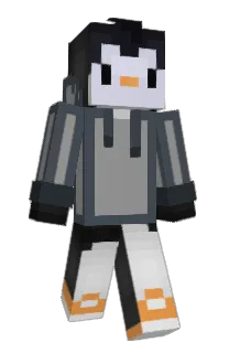 Front of riiscado's skin