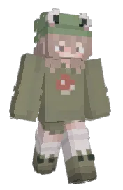 Skin preview