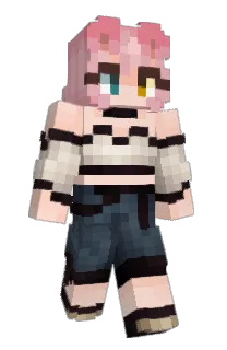 Front of Minecraft skin