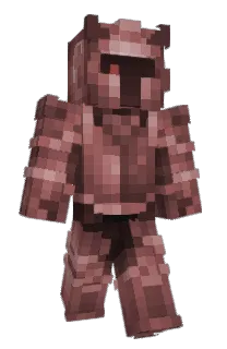 Front of BeansOfBag's skin