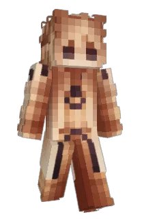 Front of akxzw's skin