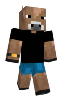 Front of Nathan_exe135's skin