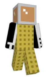 Minecraft skin — Classic model