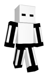 Front of VFFAI's skin