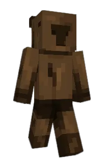 Front of Minecraft skin