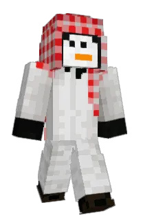 Front of LegoPen9uin's skin