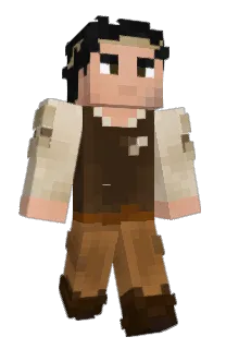 Front of Toiku's skin