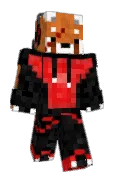 ShadowFEC