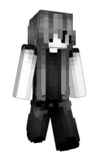 Front of sandwc's skin