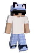 Bidshy