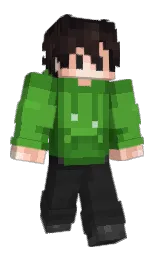 Minecraft skin — Classic model
