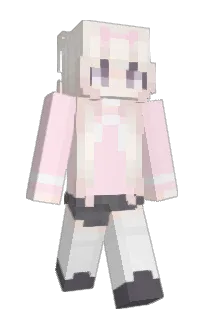 Front of akshooter's skin
