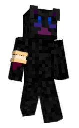 Minecraft skin — Slim model