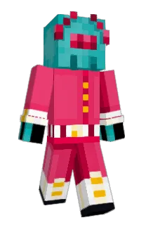 Front of qotice's skin