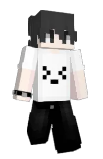 Front of Ninja's skin