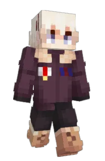 Front of eRamen's skin