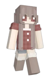 Front of ancil's skin