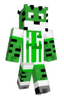 monti__'s Minecraft skin