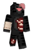 nocpolarna