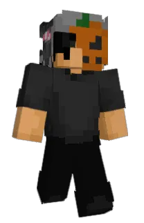 Front of SpringerYG's skin