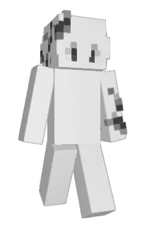Front of kcyh's skin