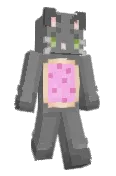 porkchopt