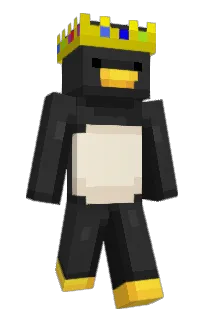 Front of kuningasPinqu's skin