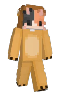 Front of junitaka's skin