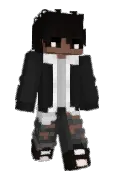 straysav