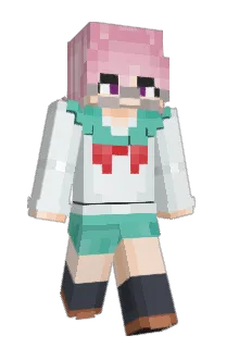 starslt's Minecraft skin