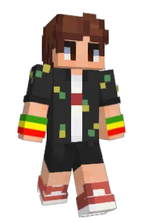 Front of TotalScape's skin