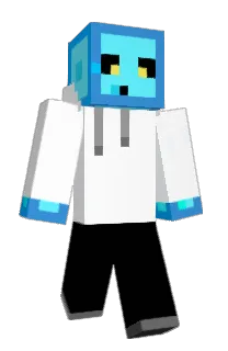 Front of Tortoiso's skin