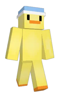 Front of FUNFOX6194's skin