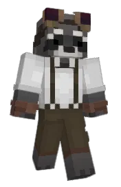 Skin preview
