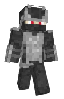 Front of Djcn385's skin