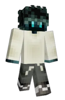 Front of TNA's skin