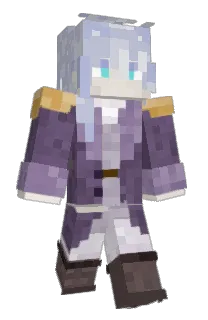 Front of puck13's skin