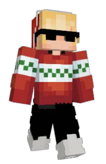 Front of N3ts_'s skin
