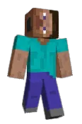 Arizoner