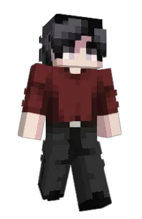 Front of 12LT's skin