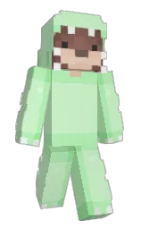 Slim Minecraft skin