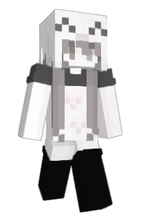 Front of tefc's skin